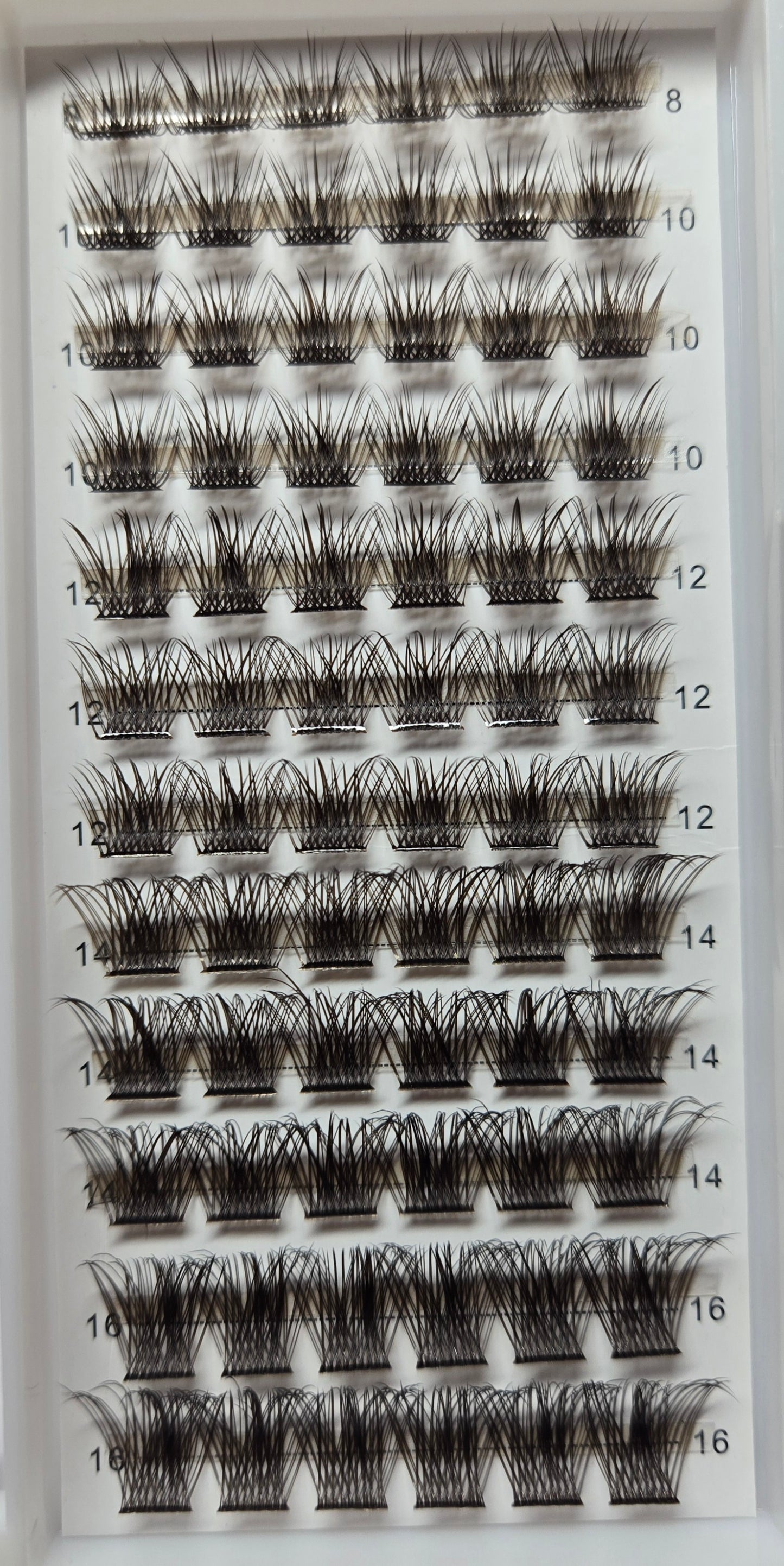 🍀 Sale 🍀 Auburn Lash Extensions