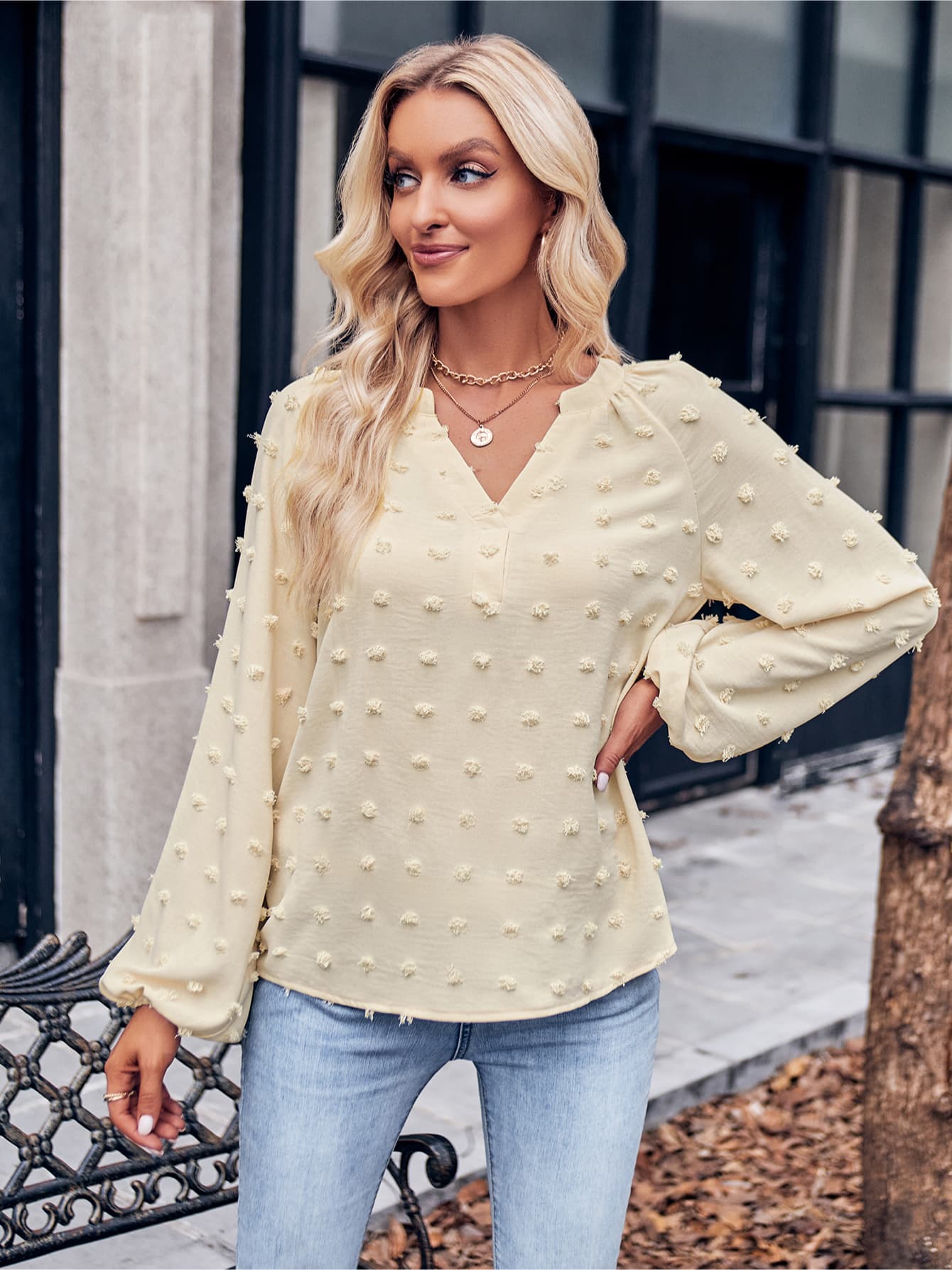 Swiss Dot Notched Neck Long Sleeve Blouse